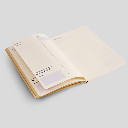 12 Week Productivity Journal