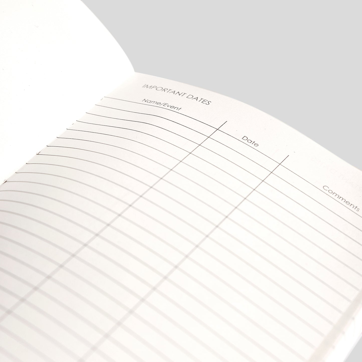 2025 DAILY PLANNER - M2