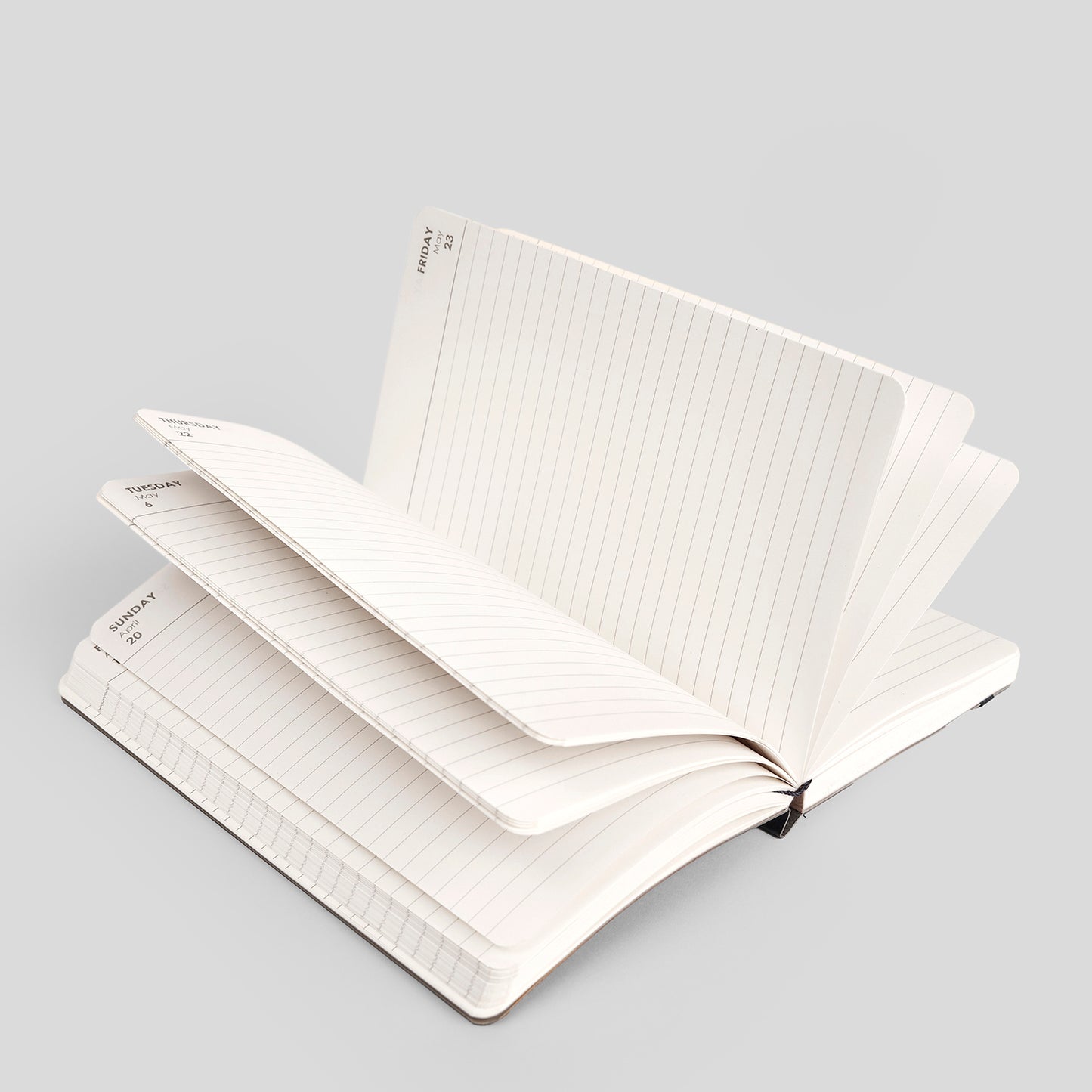 2025 DAILY PLANNER - M2
