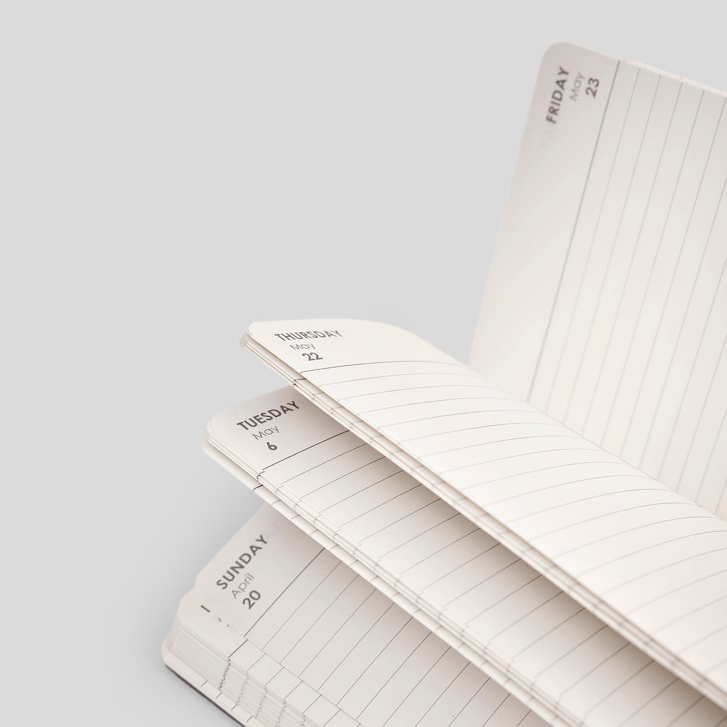 2025 DAILY PLANNER - M2