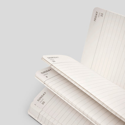 2025 DAILY PLANNER - M2