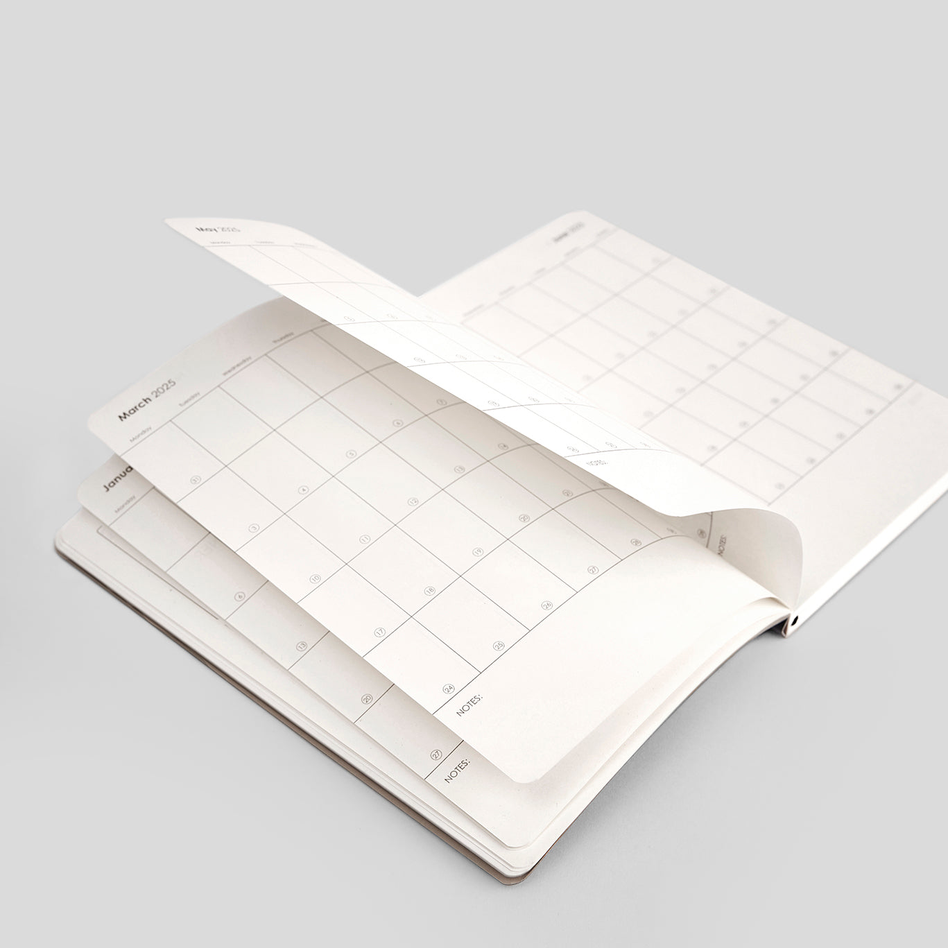 2025 WEEKLY PLANNER - D2
