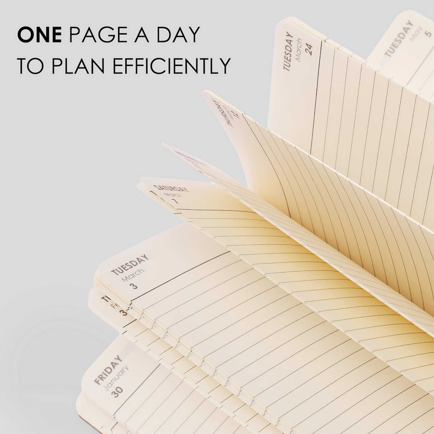 2026 DAILY PLANNER - M1