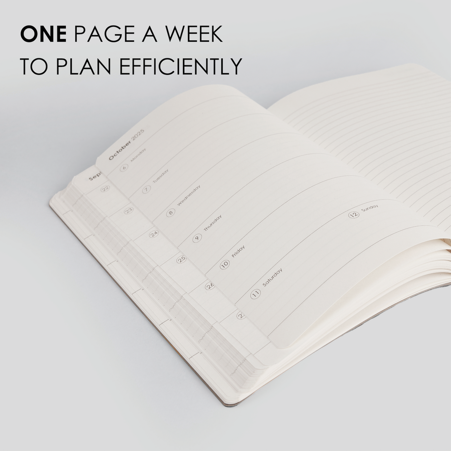 2026 WEEKLY PLANNER - D2