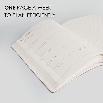 2026 WEEKLY PLANNER - D2