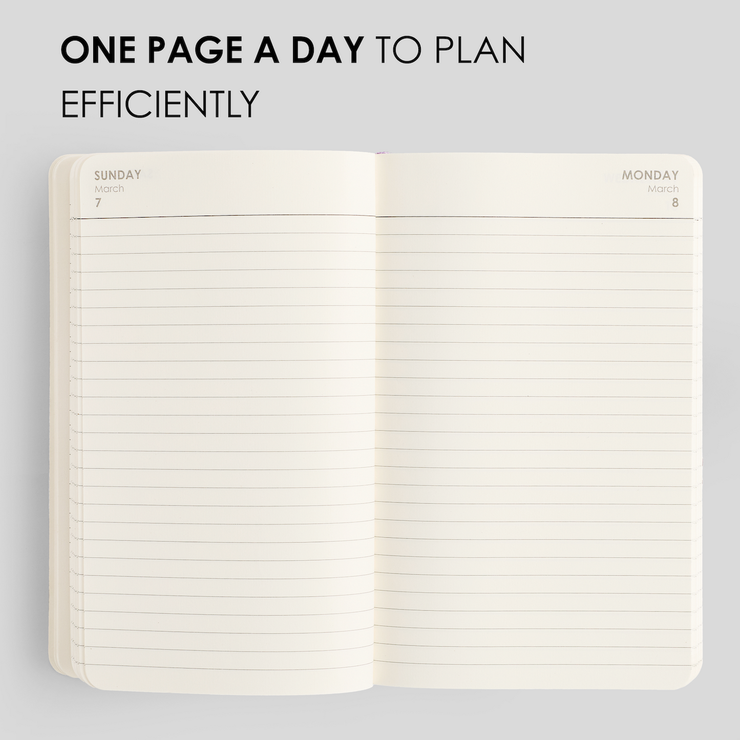 2027 DAILY PLANNER - M2