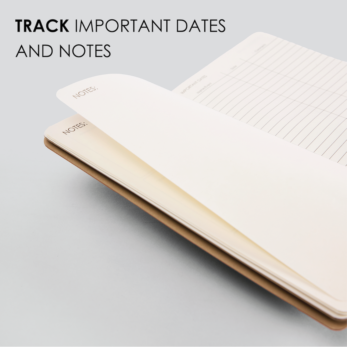 2027 DAILY PLANNER - M2
